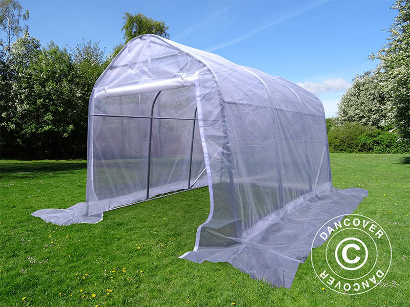 Polytunnel Drivhus, 2x3x2m, PE, 6m², Transparent - Image 3