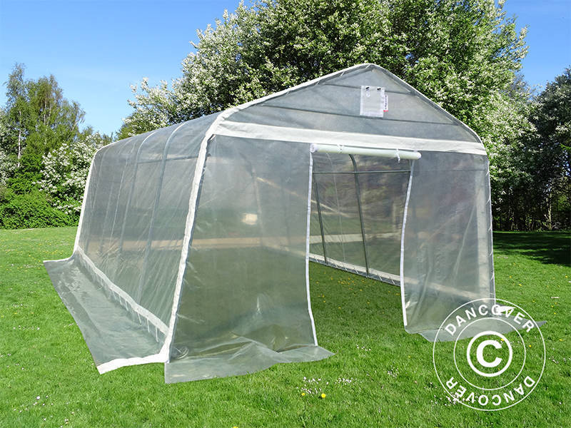 Polytunnel Drivhus, 3,6x6x2,68m, PE, 21,6m², Transparent - Image 3