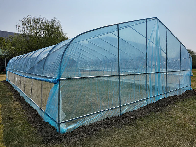 Polytunnel Drivhus, 6x10x2,5m, 100-mikron PO-film, Transparent - Image 4